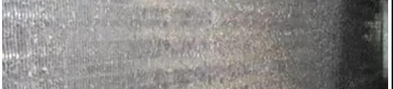 444.jpg