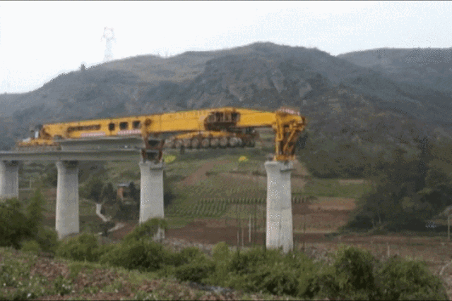 9.gif
