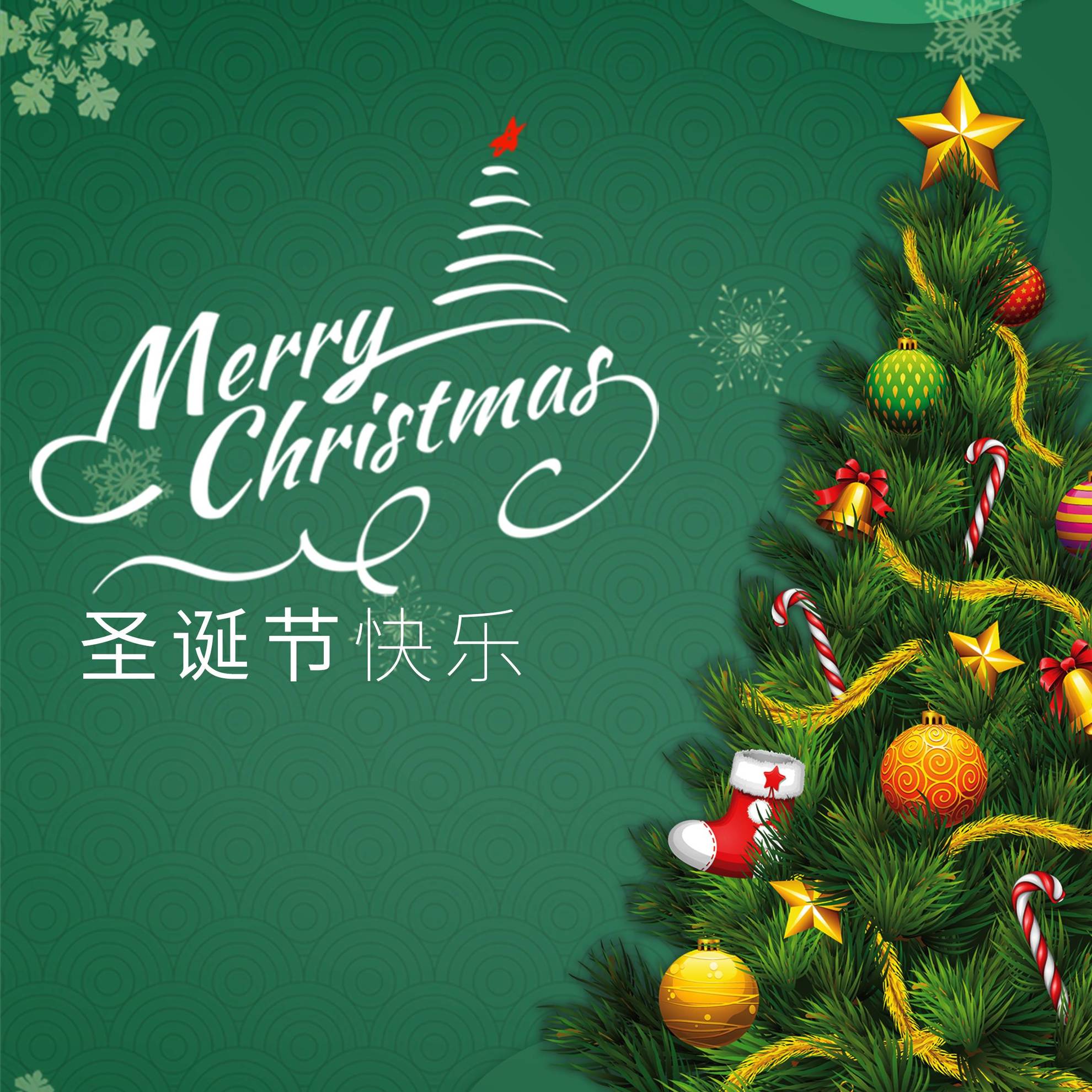 微信图片_20201225105119.jpg