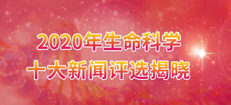 banner-jg.jpg