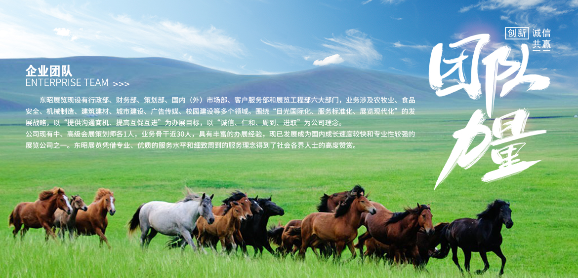 企业团队.jpg