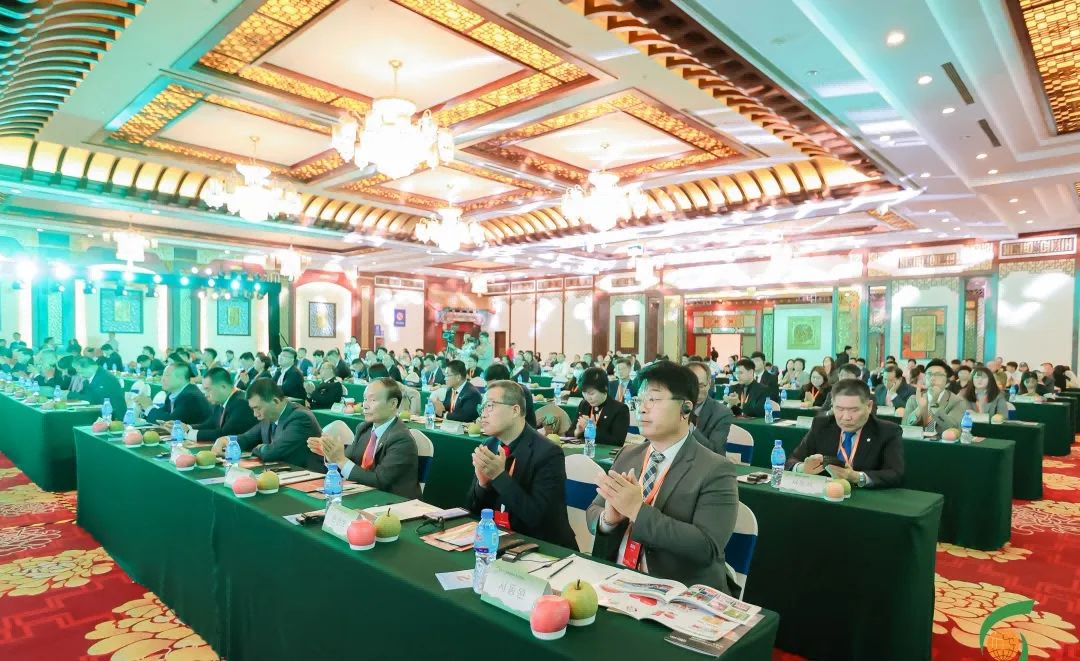 图片 25(1).png