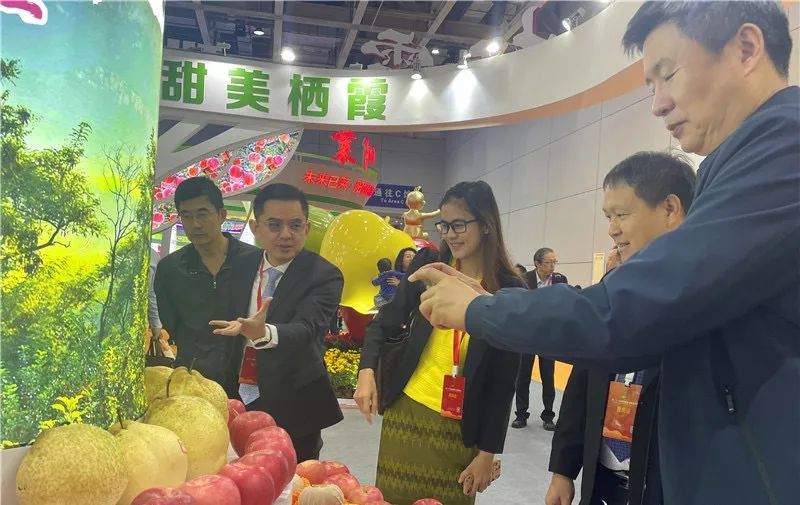 图片 28.png