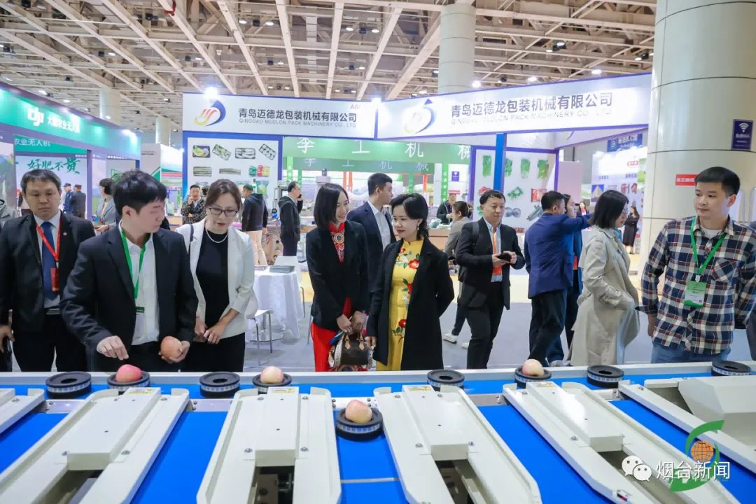 图片 37(1).png