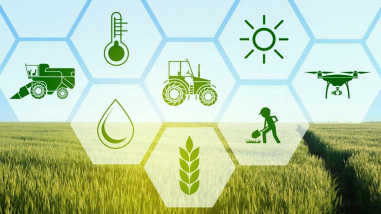 Indias-Climate-Sensitive-Agriculture-Requires-Pioneering-Technology-for-Advancement-in-Agricultural-Practices-768x432.jpg