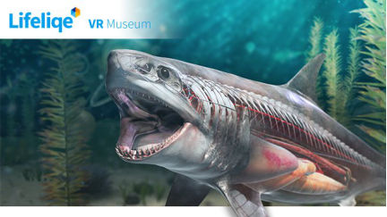北京科卓3D新势力VRM大解析