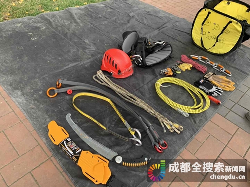 成都大学首开“攀树运动课”