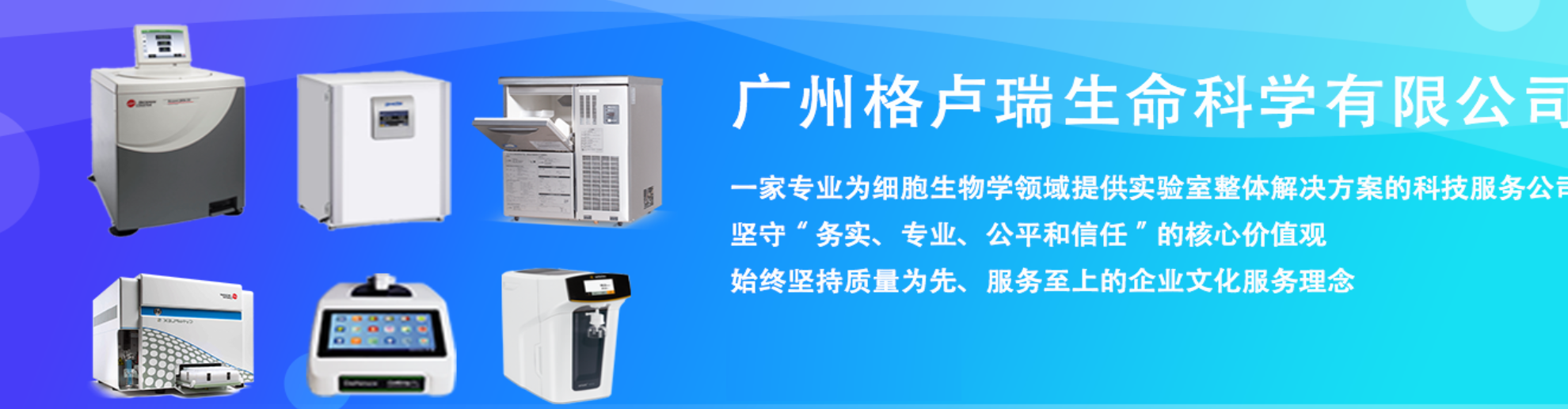 格卢瑞公司.png