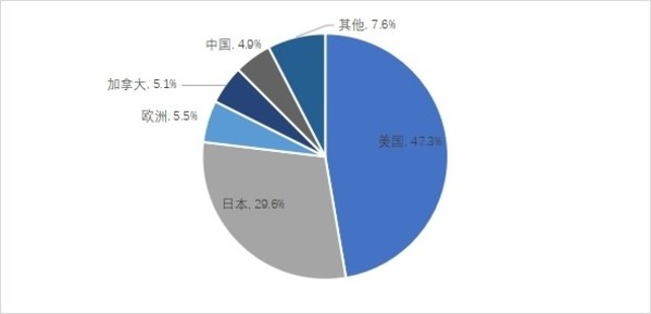 2020年全球便携式储能主要销售国家和区域分布