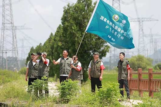 第六届中国青年志愿服务项目大赛公司获8金11银