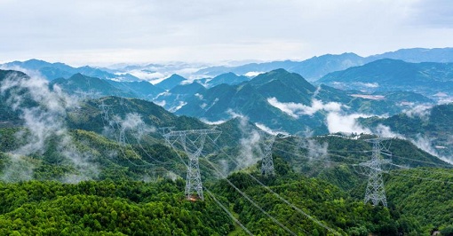 奋力在推动高质量发展上取得更大进步