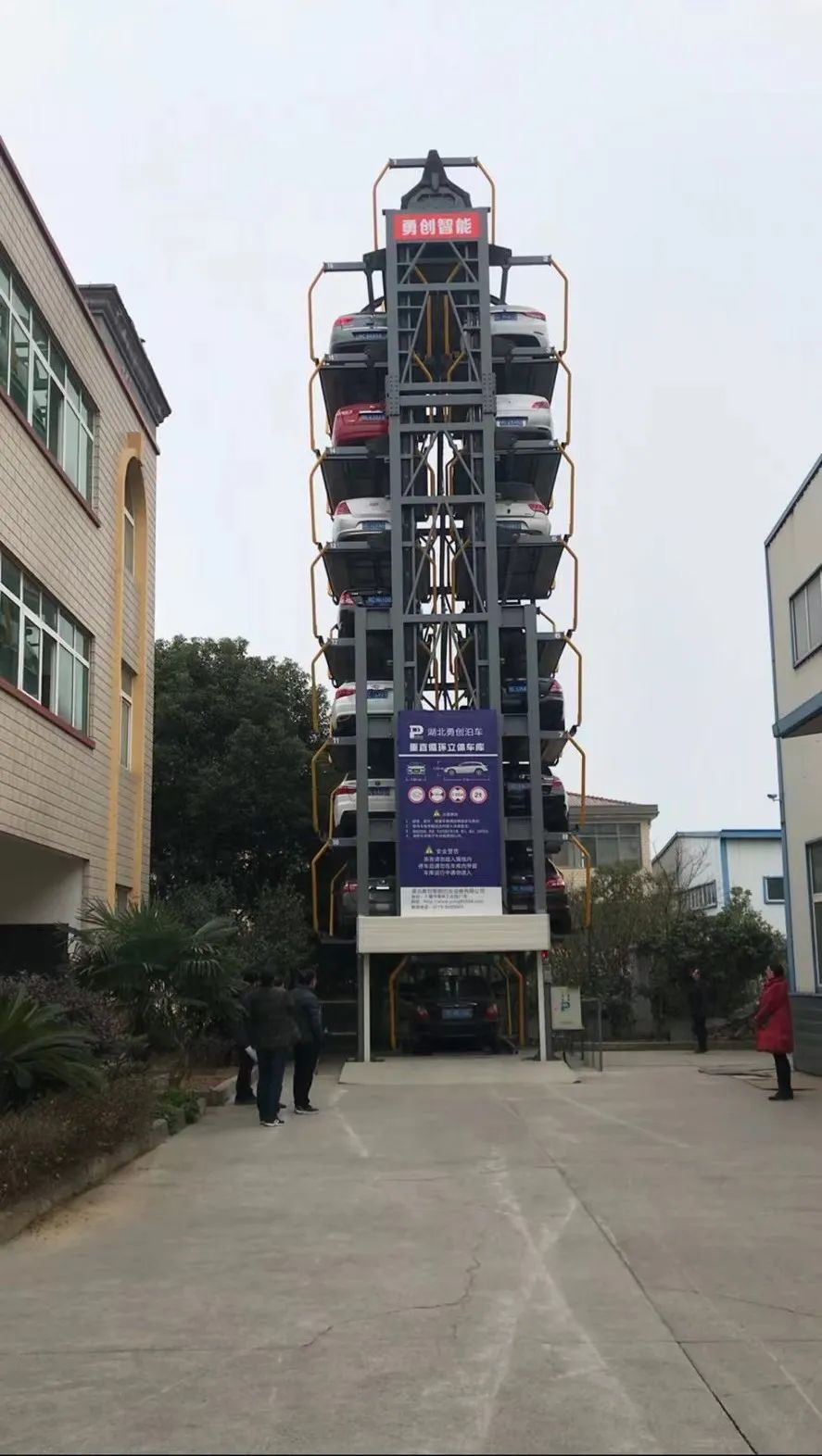 图片