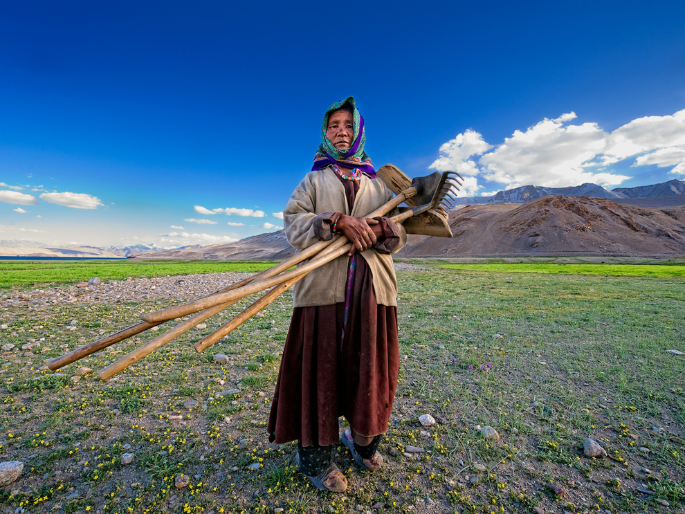 Technically, a rake and a hoe are early forms of agriculture tech. There may just be slightly more efficient tools in the 21st century - maybe.