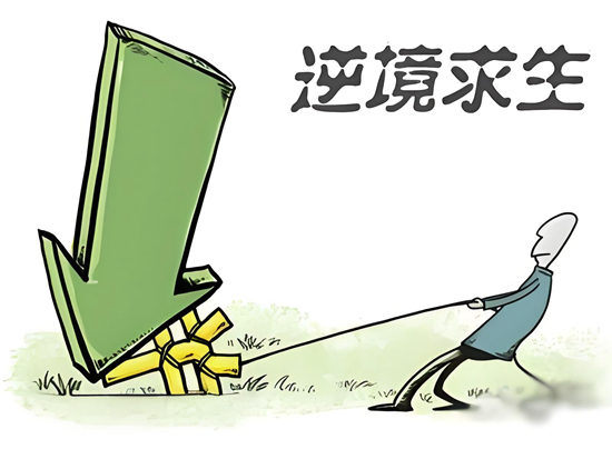 逆境求生：门窗企业的科学与艺术管理之道