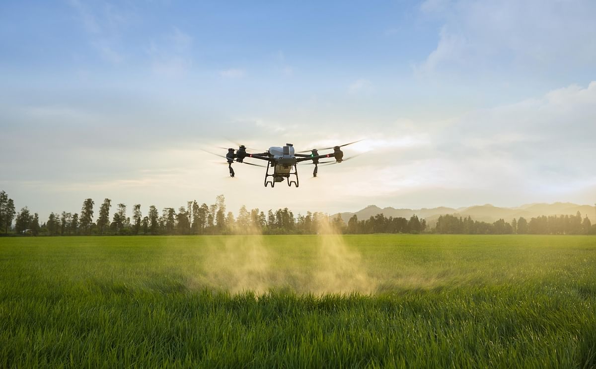 DJI Agras T50 in field