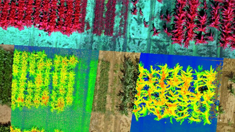 Airborne and Ground Sensors in Fields