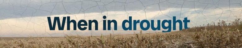 Image of dry field and a blue-grey sky. A_yy (1).jpg