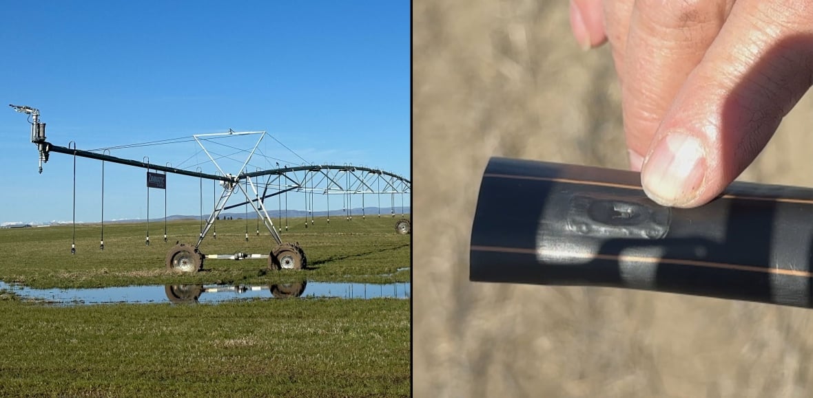 irrigation-systems.jpg